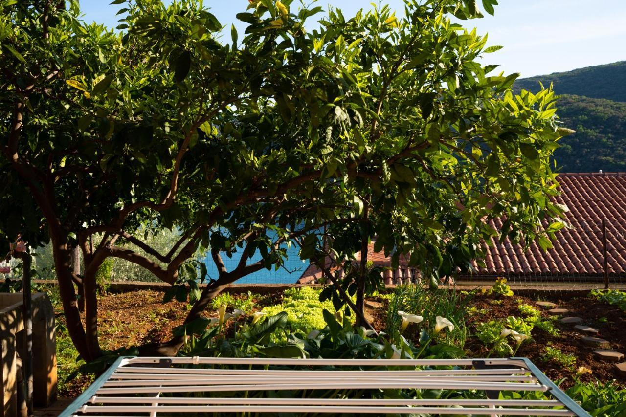 Apartment Stella Marina Rabac